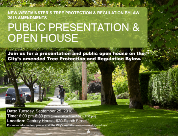 Screen Shot 2018-09-16 at 2.23.59 PM