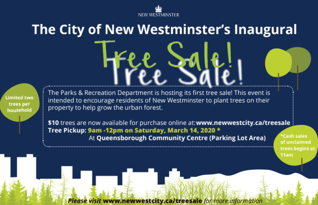 Screen Shot 2020-02-19 at 3.21.19 PM